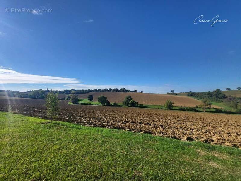 À 5 min de Cadours – Authentique ferme toulousaine de 245 m², en partie rénovée, sur terrain arboré - photo 16