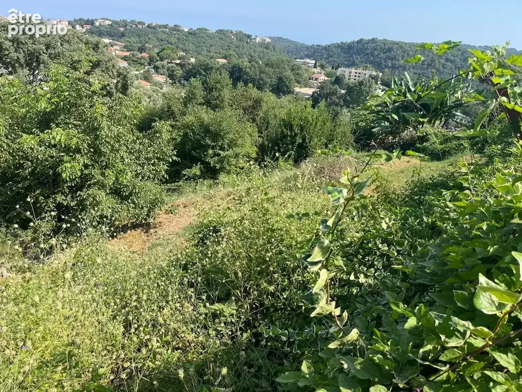 Terrain à VERO