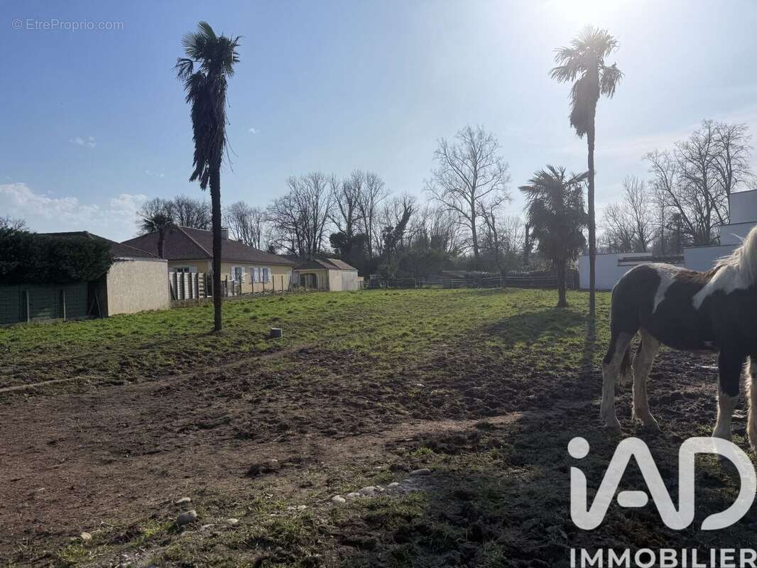 Photo 3 - Terrain à LESCAR