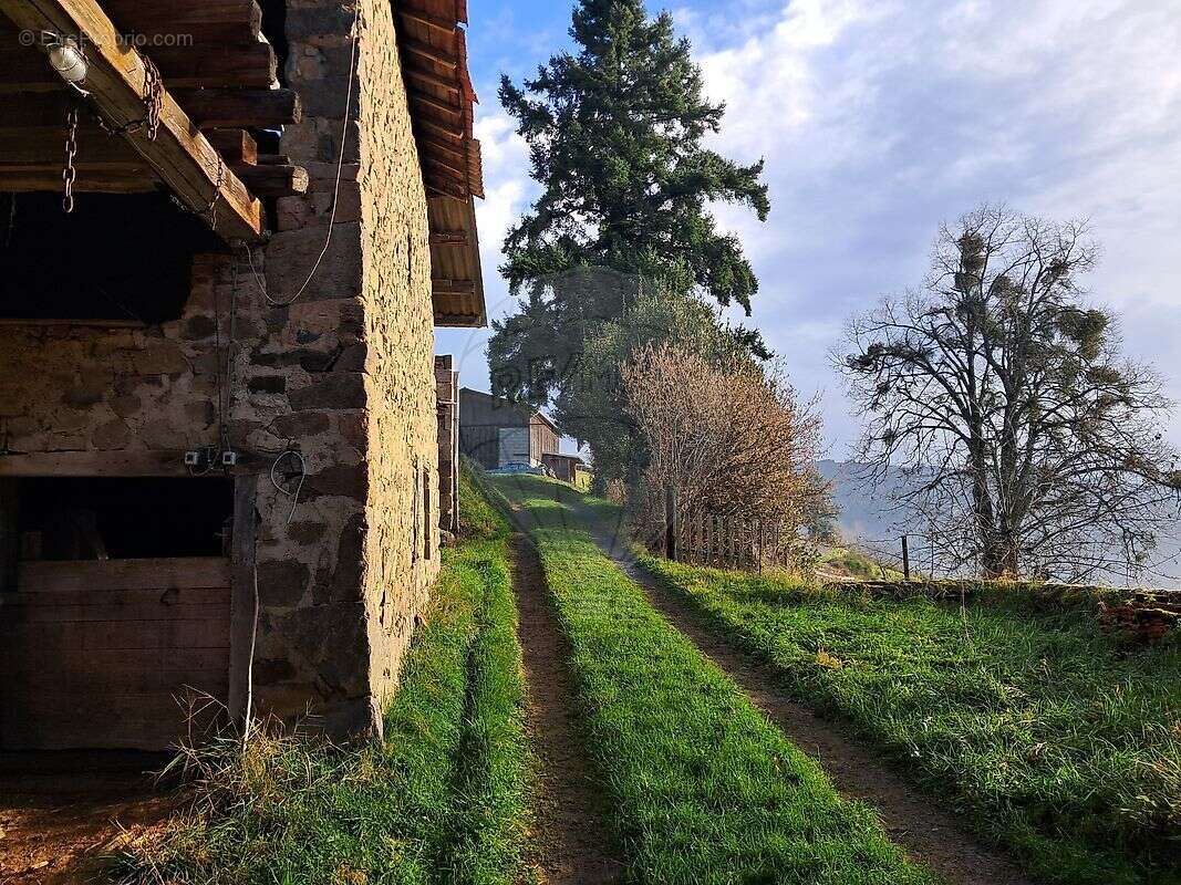 Maison à SAINT-NIZIER-D'AZERGUES