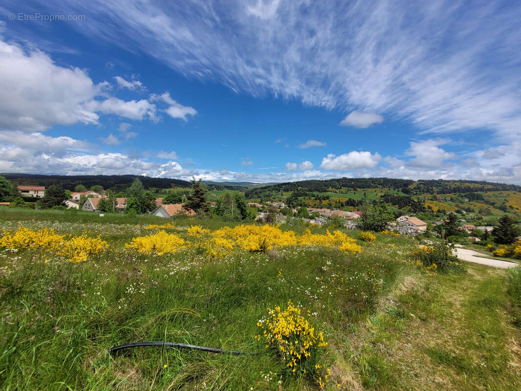 Terrain à LANGOGNE