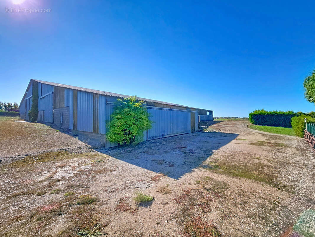 Terrain à NEUILLY-EN-DUN