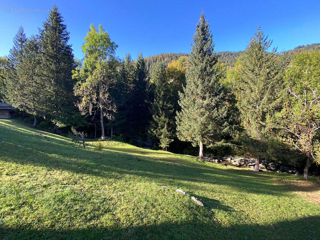 Terrain à LA CLUSAZ