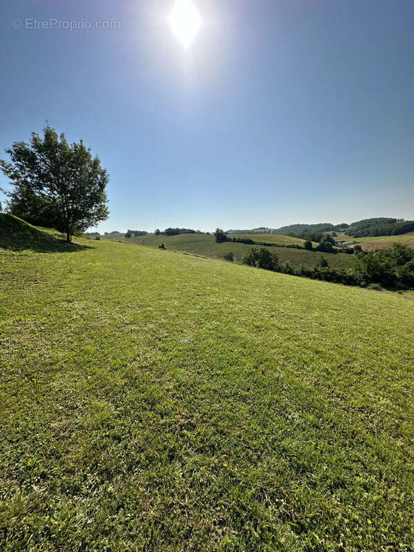 Terrain à MIRAMONT-D'ASTARAC
