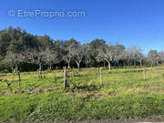 Terrain à SARLAT-LA-CANEDA