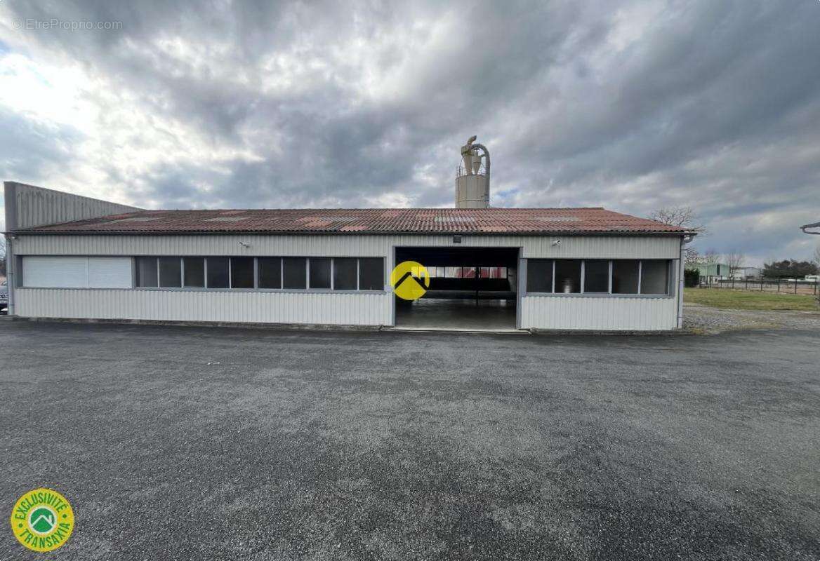 Commerce à PUY-GUILLAUME