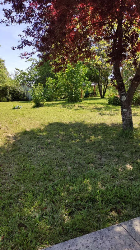 Maison à PREUILLY-SUR-CLAISE