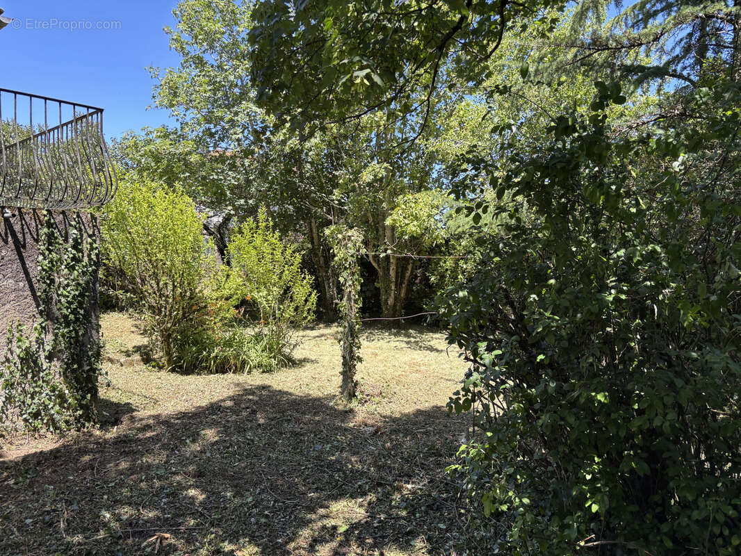 Maison à PAMPELONNE