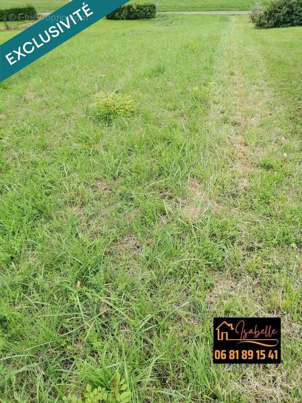 Photo 9 - Terrain à DEMU