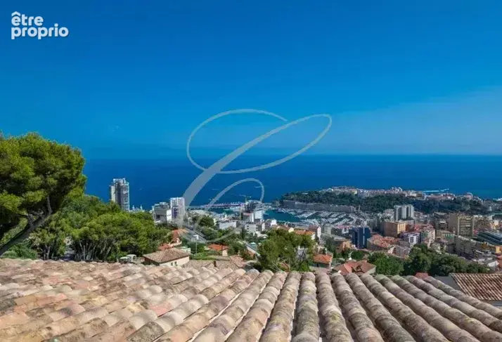 Beausoleil - villa - photo 20