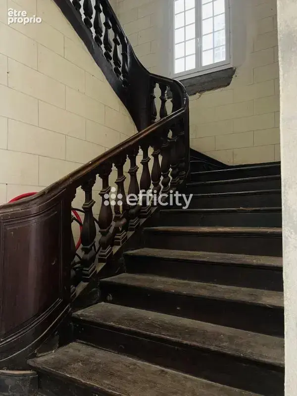 Hôtel particulier - photo 3
