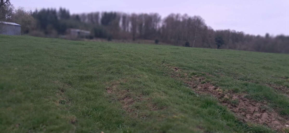 Terrain à GERNELLE