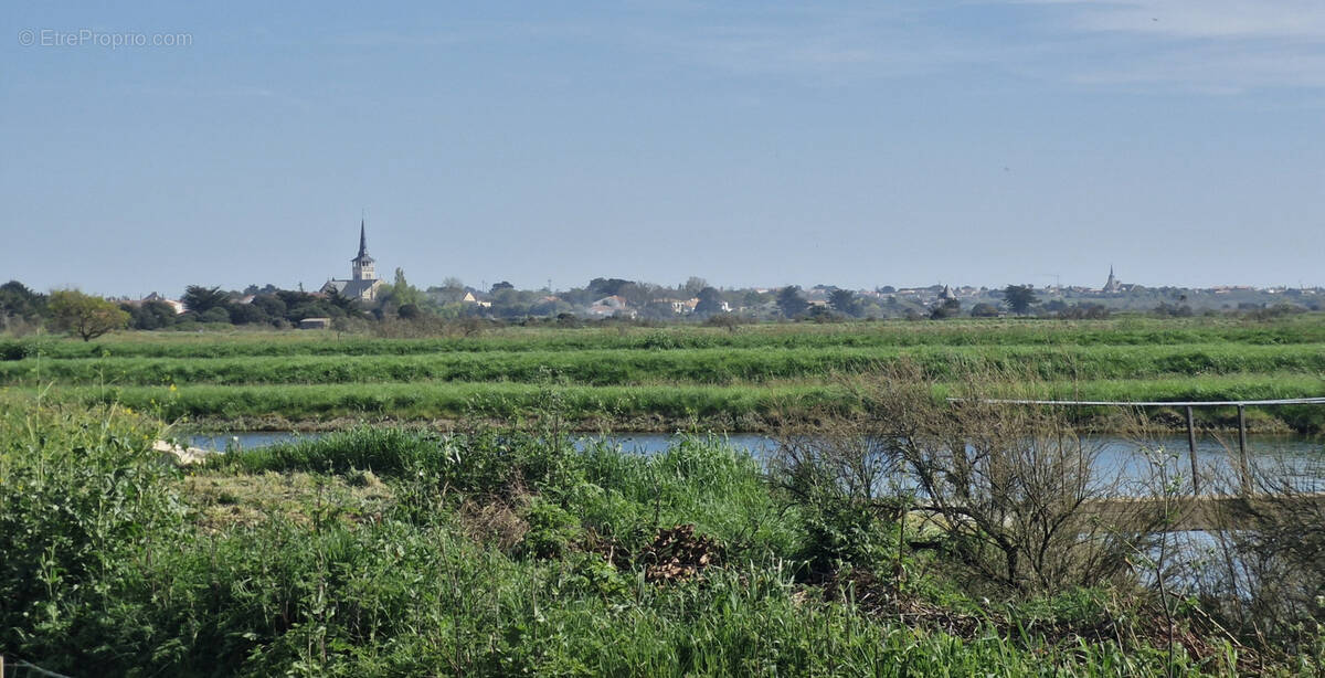 Maison à L&#039;ILE-D&#039;OLONNE