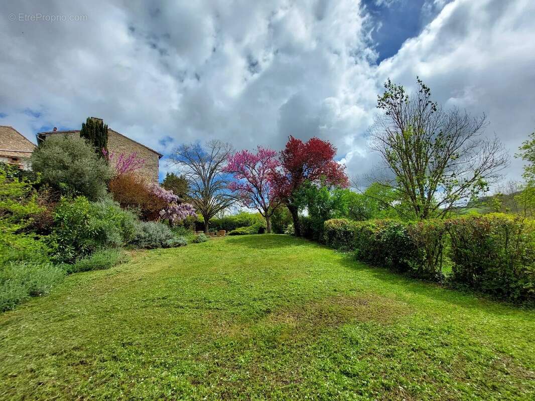 Maison à CORDES-SUR-CIEL
