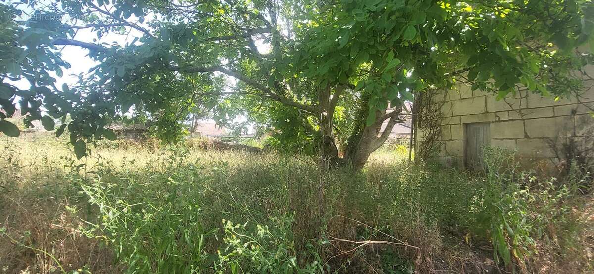 Maison à BRIZAMBOURG