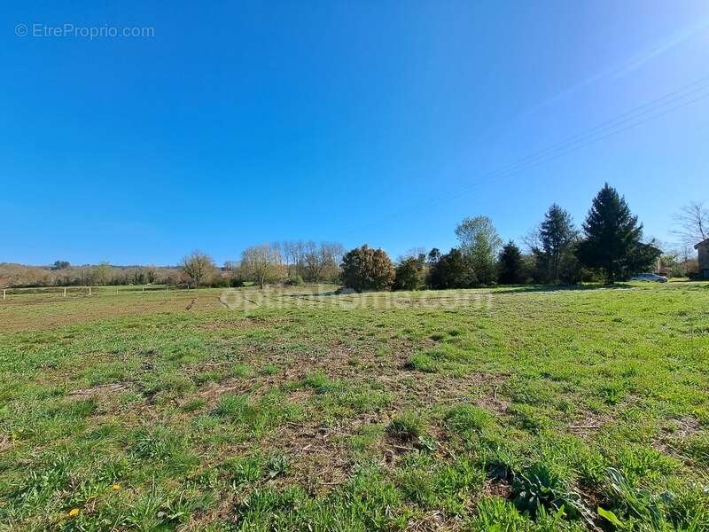 Terrain à SAUVETERRE-DE-BEARN