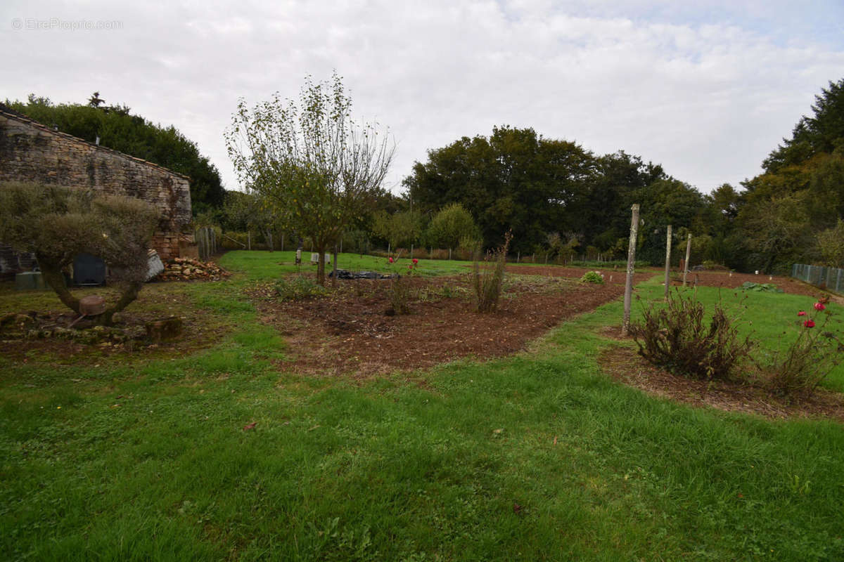 DSC_0074 - Maison à LA FORET-DE-TESSE