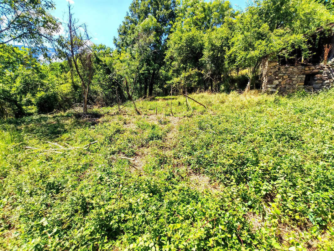 Photo 9 - Maison à BELVEDERE