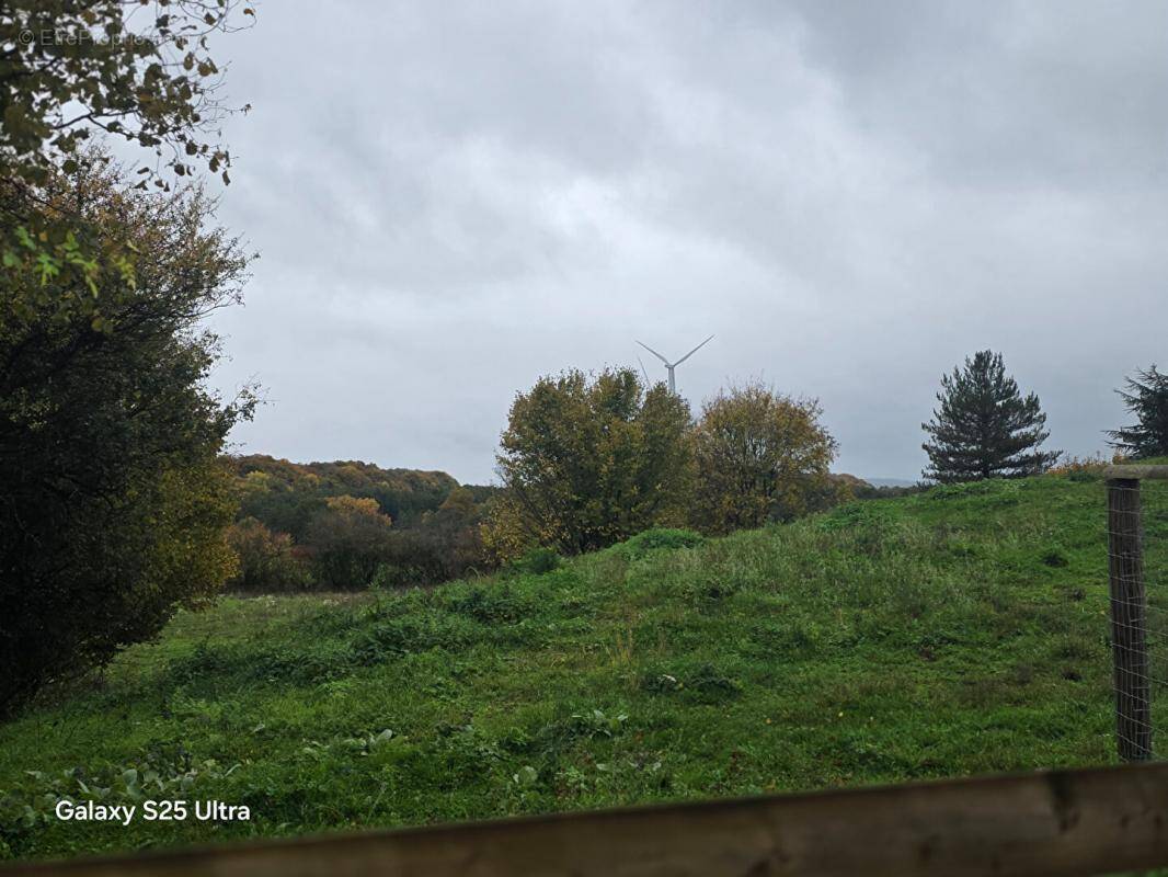 Terrain à FONTENELLE-MONTBY