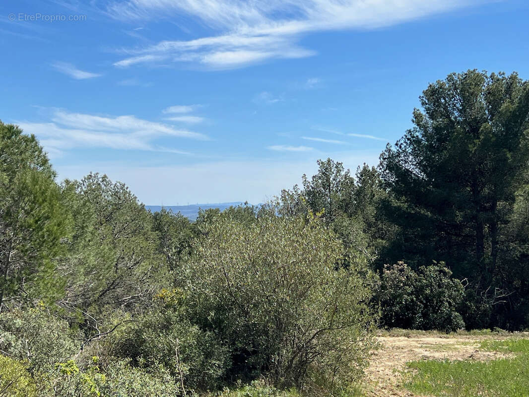 Terrain à LA LIVINIERE