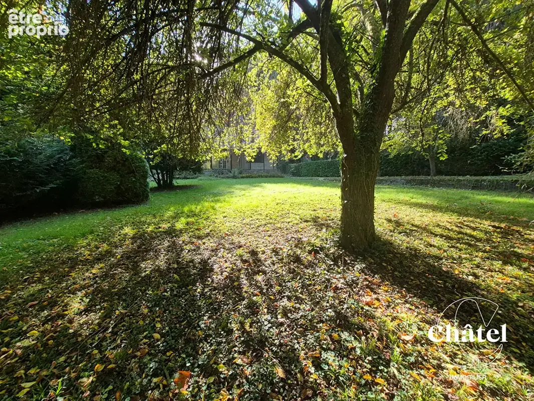 Maison en pierres 4 chambres - véranda- jardin arboré - photo 15