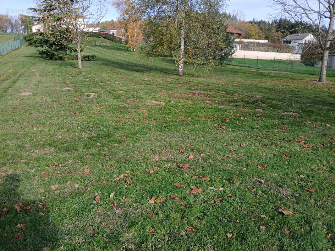 Terrain à AUBUSSON-D&#039;AUVERGNE
