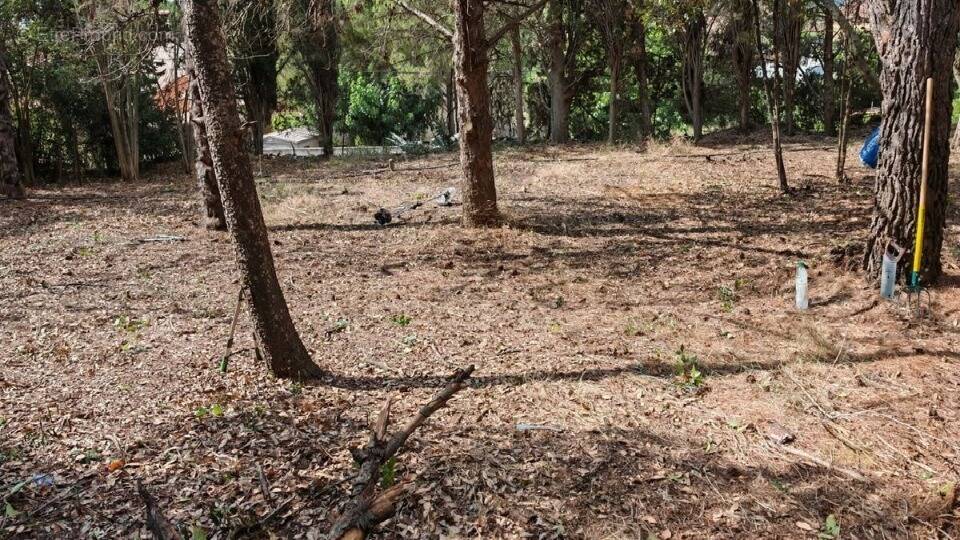 Terrain à OUVEILLAN