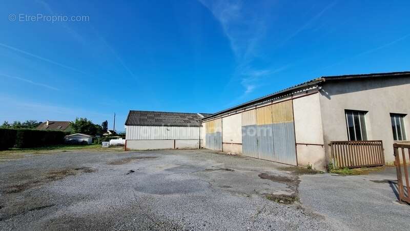 Commerce à SAUVETERRE-DE-BEARN