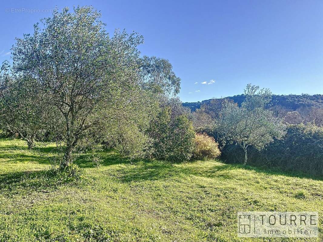 Maison à VALLON-PONT-D'ARC