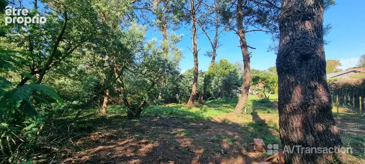 Terrain 985 m² à vendre à Soustons (40140) - photo 42