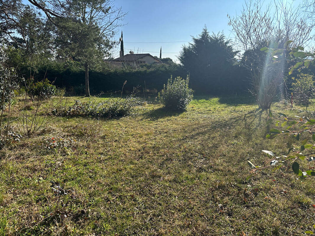 Terrain à GREZIEU-LA-VARENNE