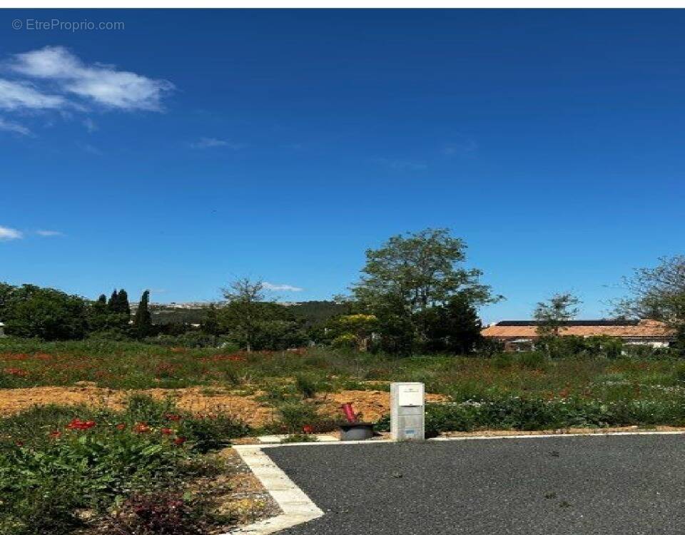 Terrain à SAINT-ANDRE-DE-ROQUELONGUE