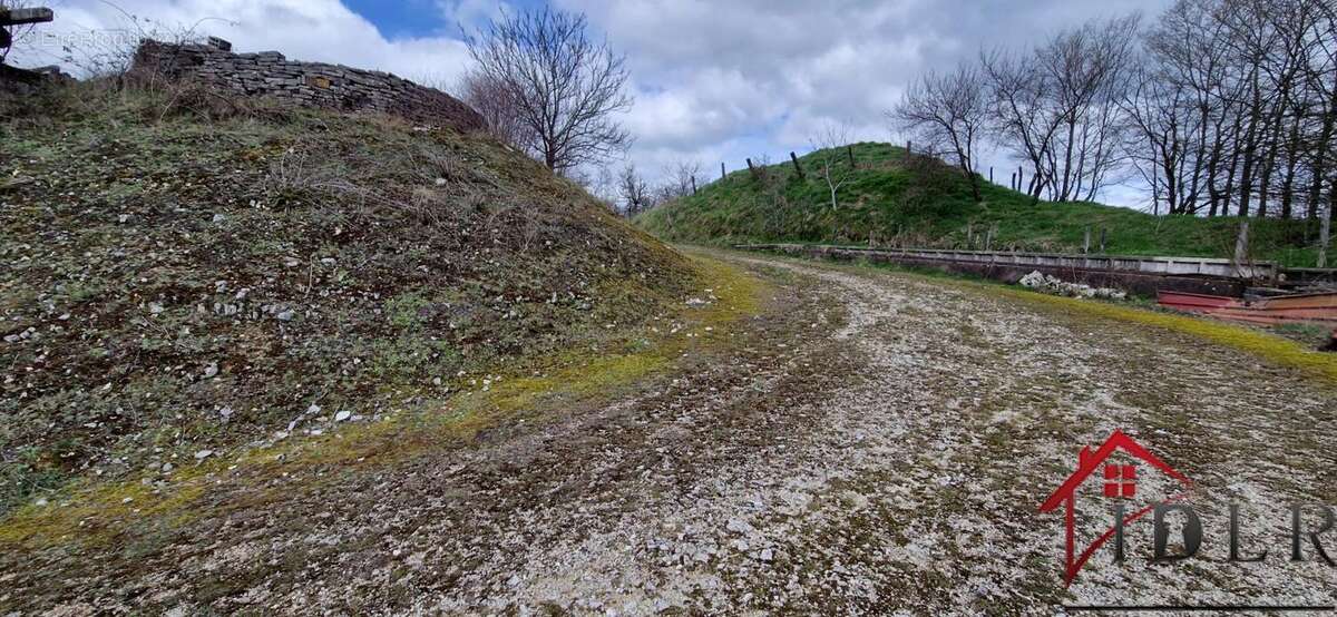 Commerce à LANEUVELLE