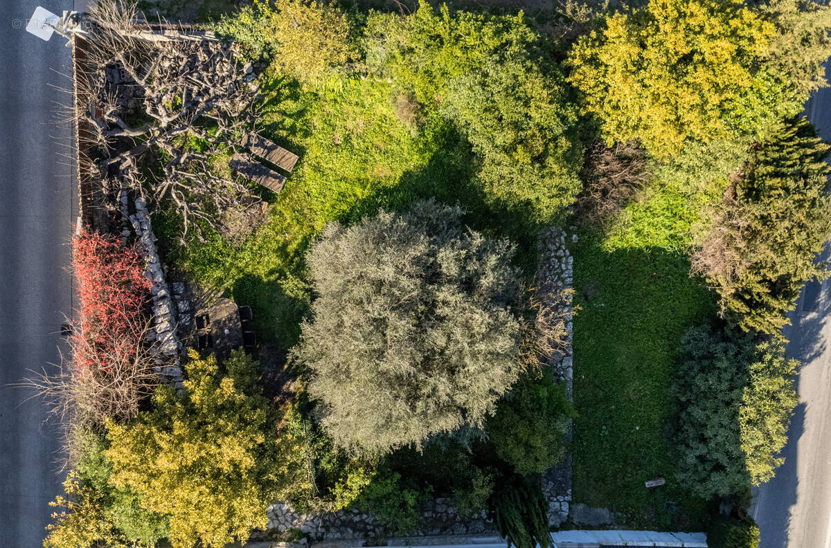 Terrain à LA COLLE-SUR-LOUP