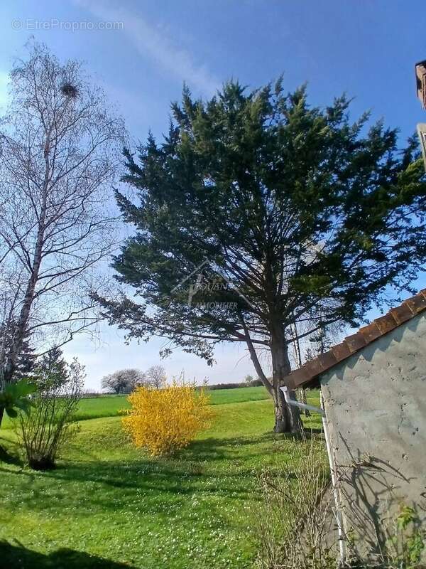 Maison à CONTIGNY