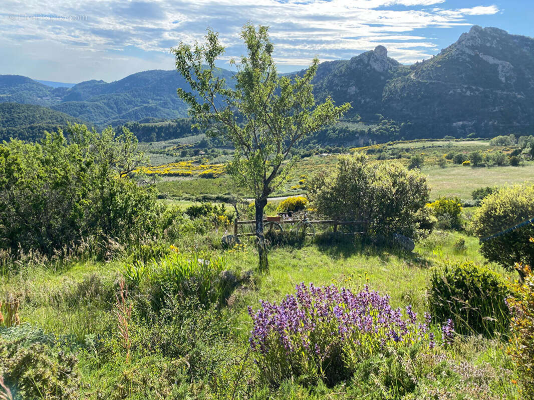 Maison à BUIS-LES-BARONNIES