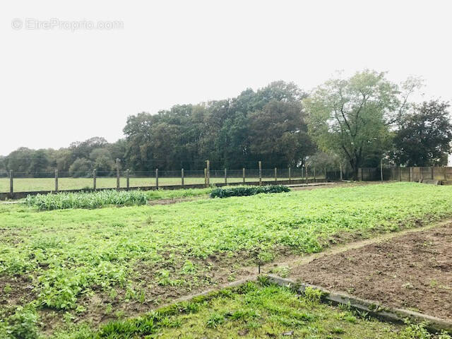 Terrain à LA CHAPELLE-DES-MARAIS