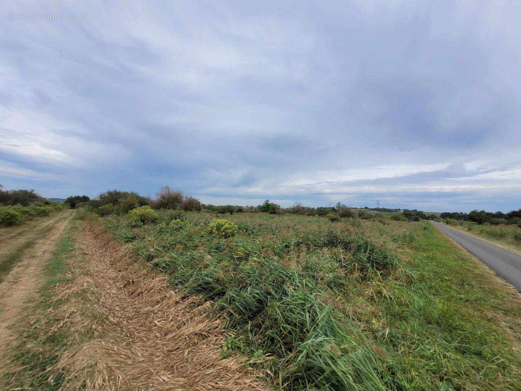 Terrain à SAINT-BONNET-SUR-GIRONDE
