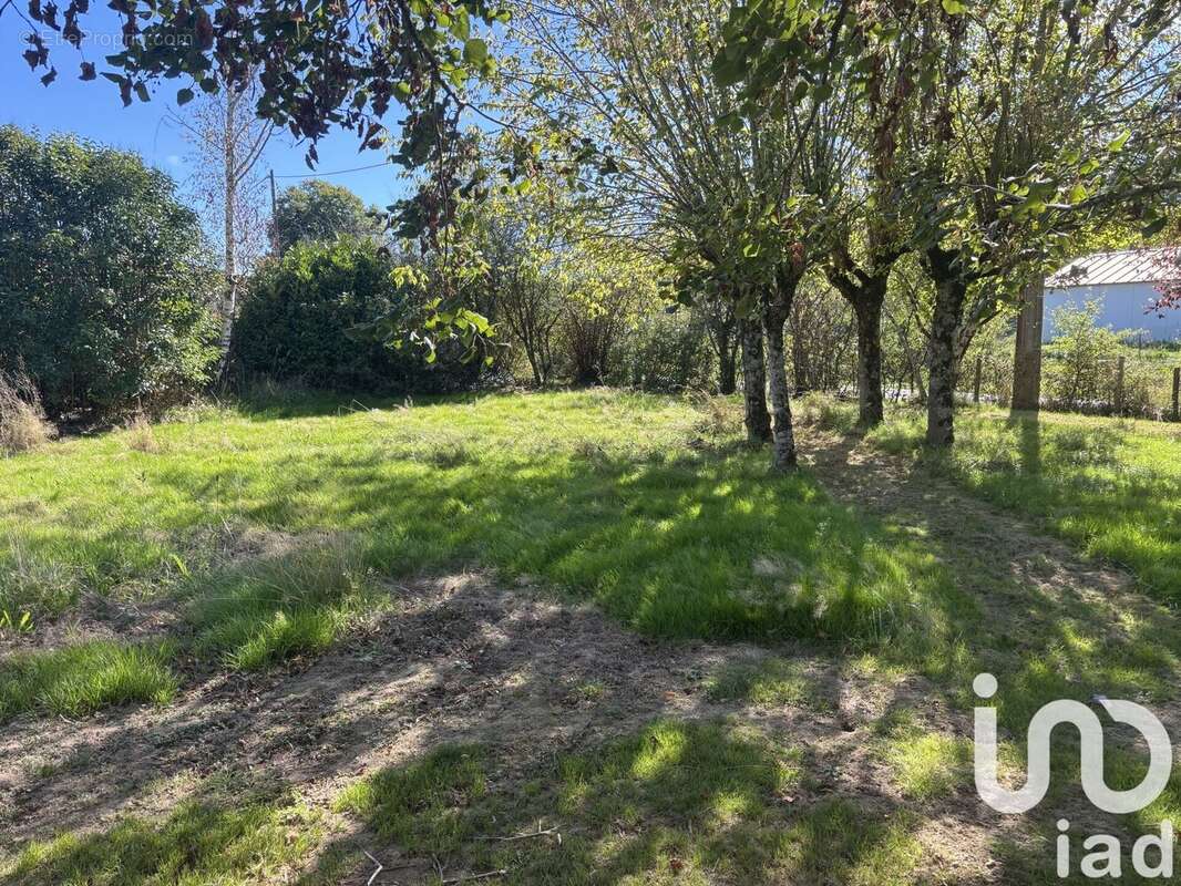 Photo 5 - Terrain à LABASTIDE-DU-TEMPLE