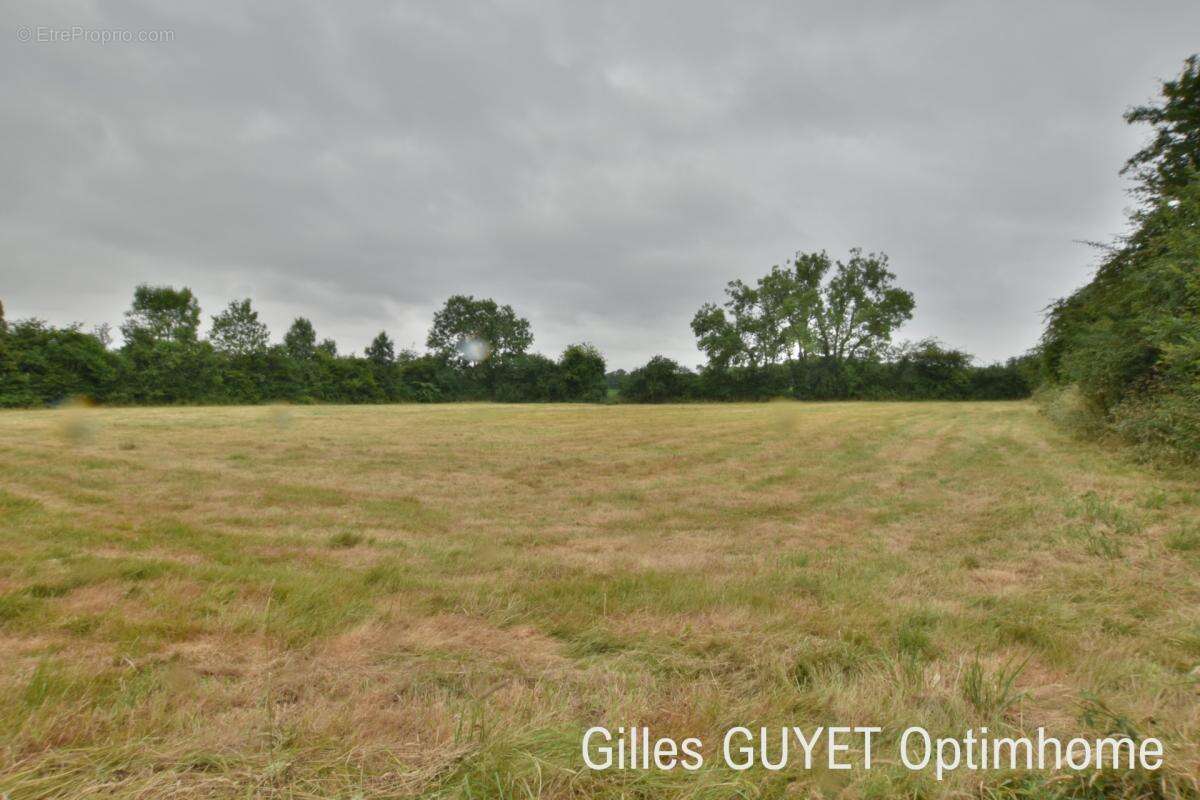 Terrain plat constructible de 5400M² 20MN de BERNAY, 35000€ - photo 4