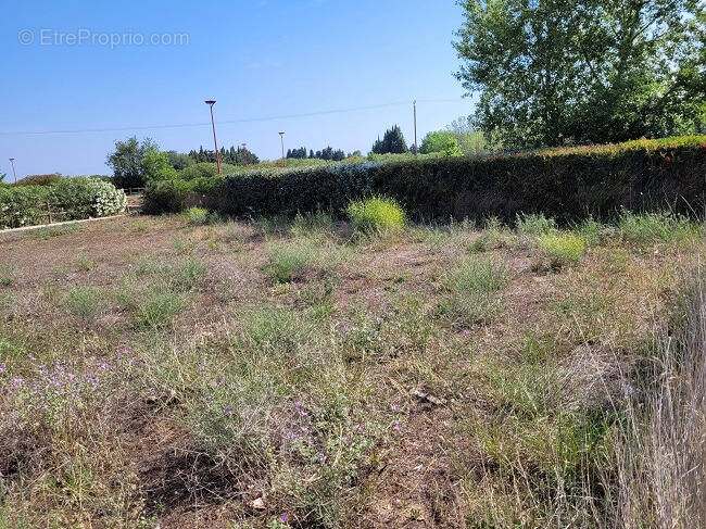 Terrain à TOULOUGES