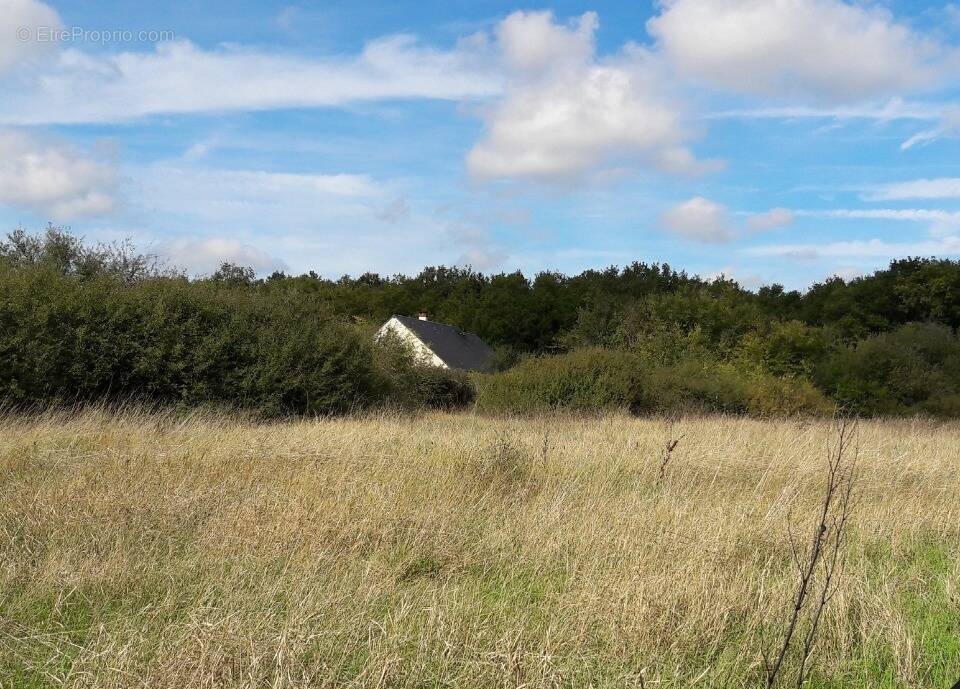Terrain à NEUVY-LE-ROI