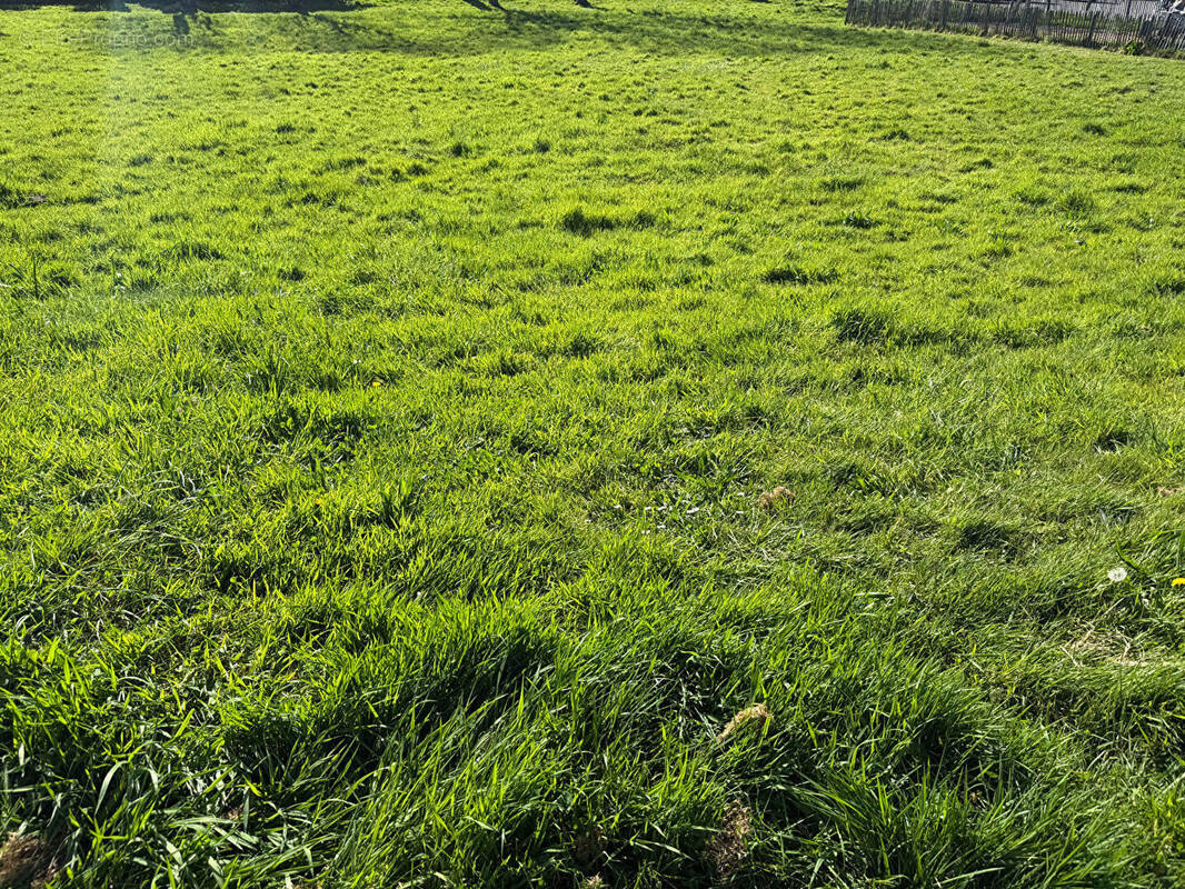 Terrain à LE RELECQ-KERHUON