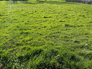 Terrain à LE RELECQ-KERHUON