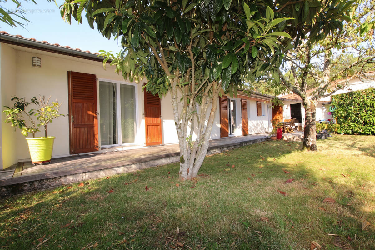 Maison à LE BARP