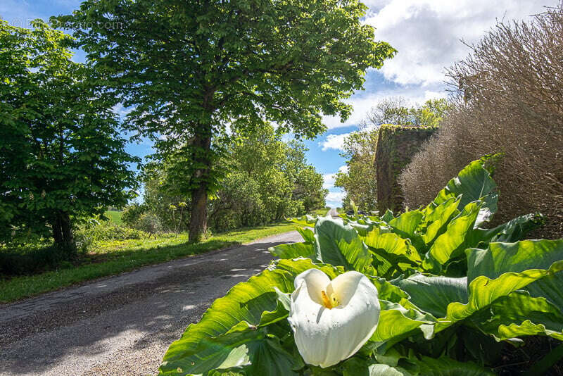 CHATEAU de famille du 17e siècle en très bon état à vendre à GIBEL - photo 21