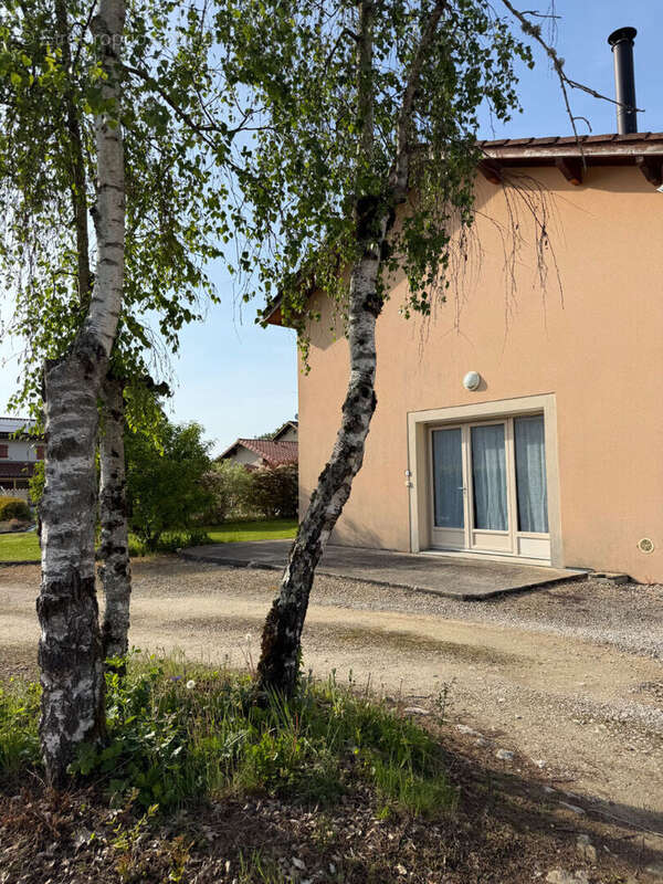 Maison à JASSERON
