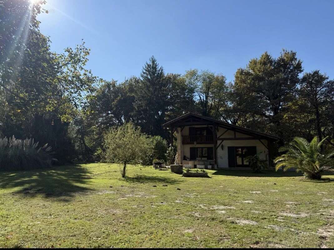 Maison à BAZAS