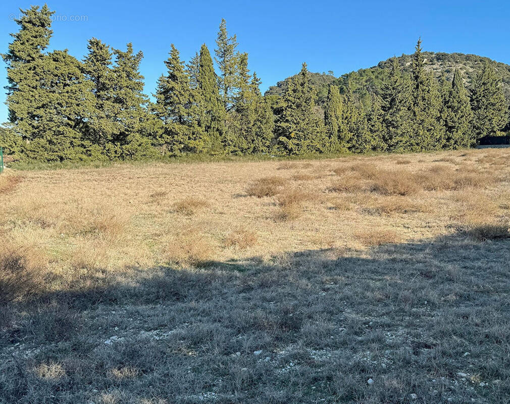 Terrain à SAINT-PAUL-TROIS-CHATEAUX