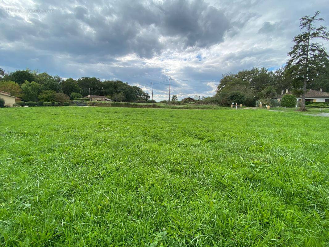Terrain à LE BUISSON-DE-CADOUIN
